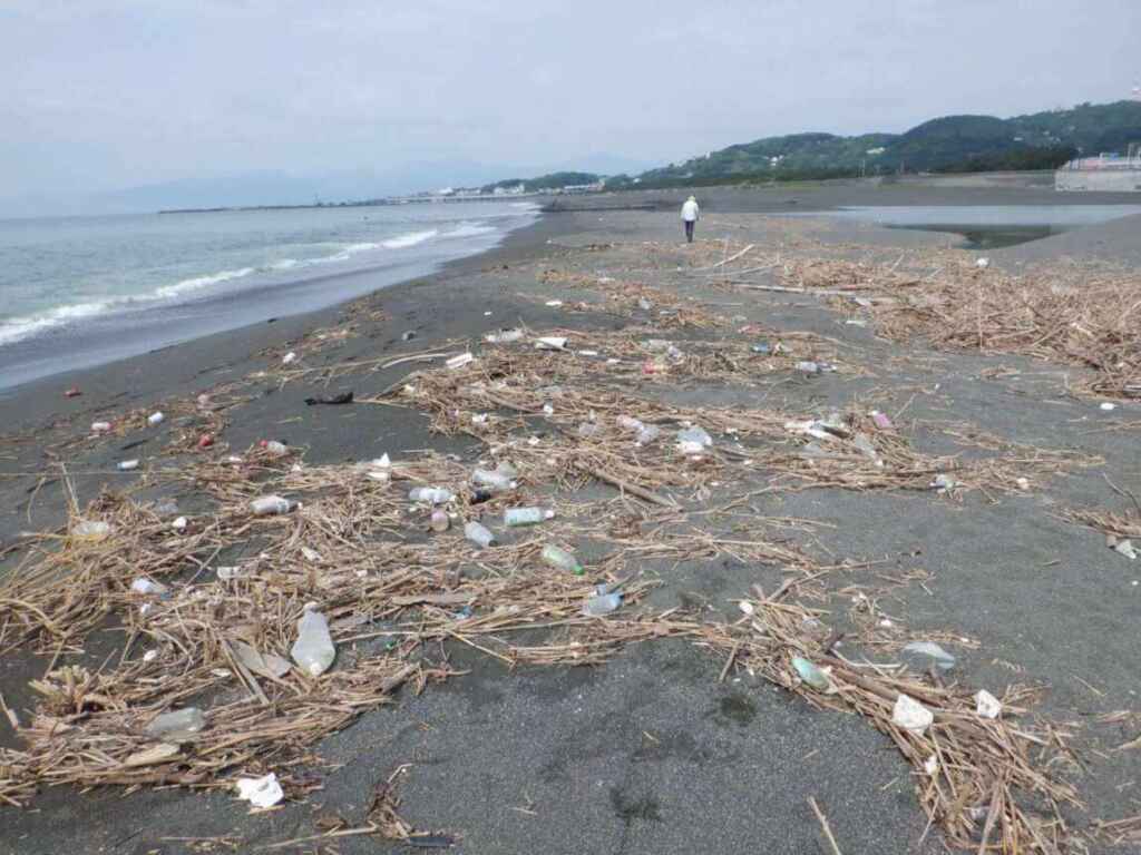 海ゴミは川から 7割 来ています かながわ海岸美化財団 公益財団法人かながわ海岸美化財団